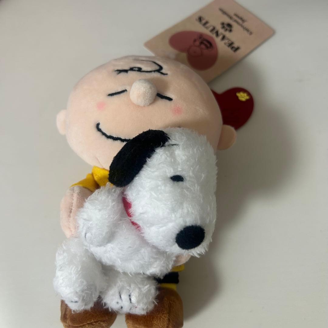 USJ Snoopy Charlie Brown Plush Toy