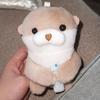 Peluche Kawaii Lontra che tiene il Pesce Portachiavi Leggero Ciondolo da Appendere Accessori per Zaino Scolastico Portachiavi Giocattolo Portachiavi Regali
