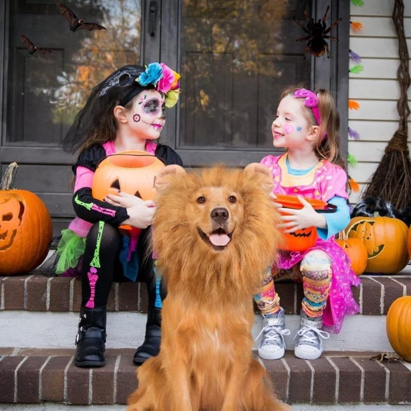 Lustige Süße Haustier Hund Cosplay Kleidung Löwenmähne für Hundekostüme Realistische Löwenperücke Schwanz für Kleine bis Große Hunde mit Ohren Löwenkopf