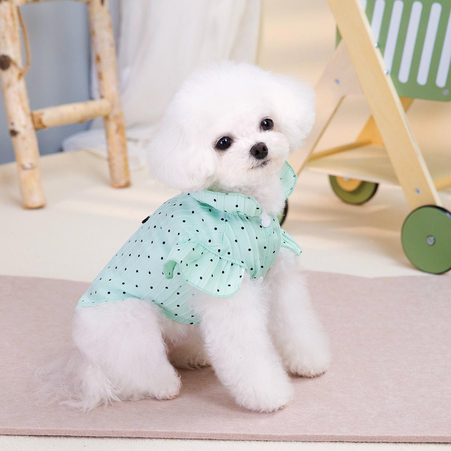 

Горошек питомец плюшевый кот щенок собака одежда весна и лето тонкий принцесса ветер летящий рукав подкладка XXL зелёный