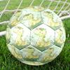 1pc Dinosaur Garden Size 5 Soccer Ball Professional Match Training Football Indoor &Outdoor Sports Ball Lightweight Durable C65157