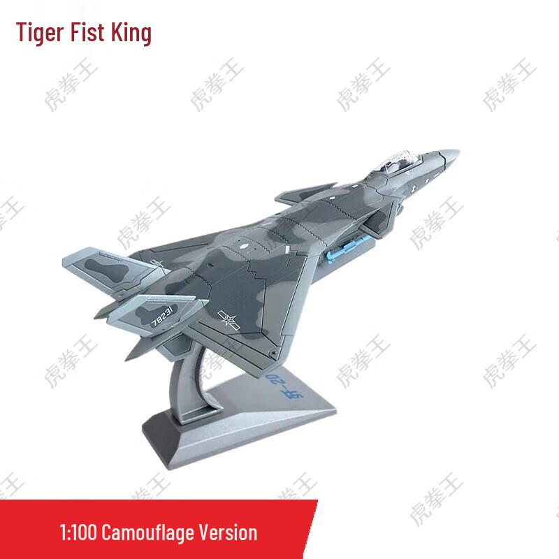 J-20 Fighter Jet Model