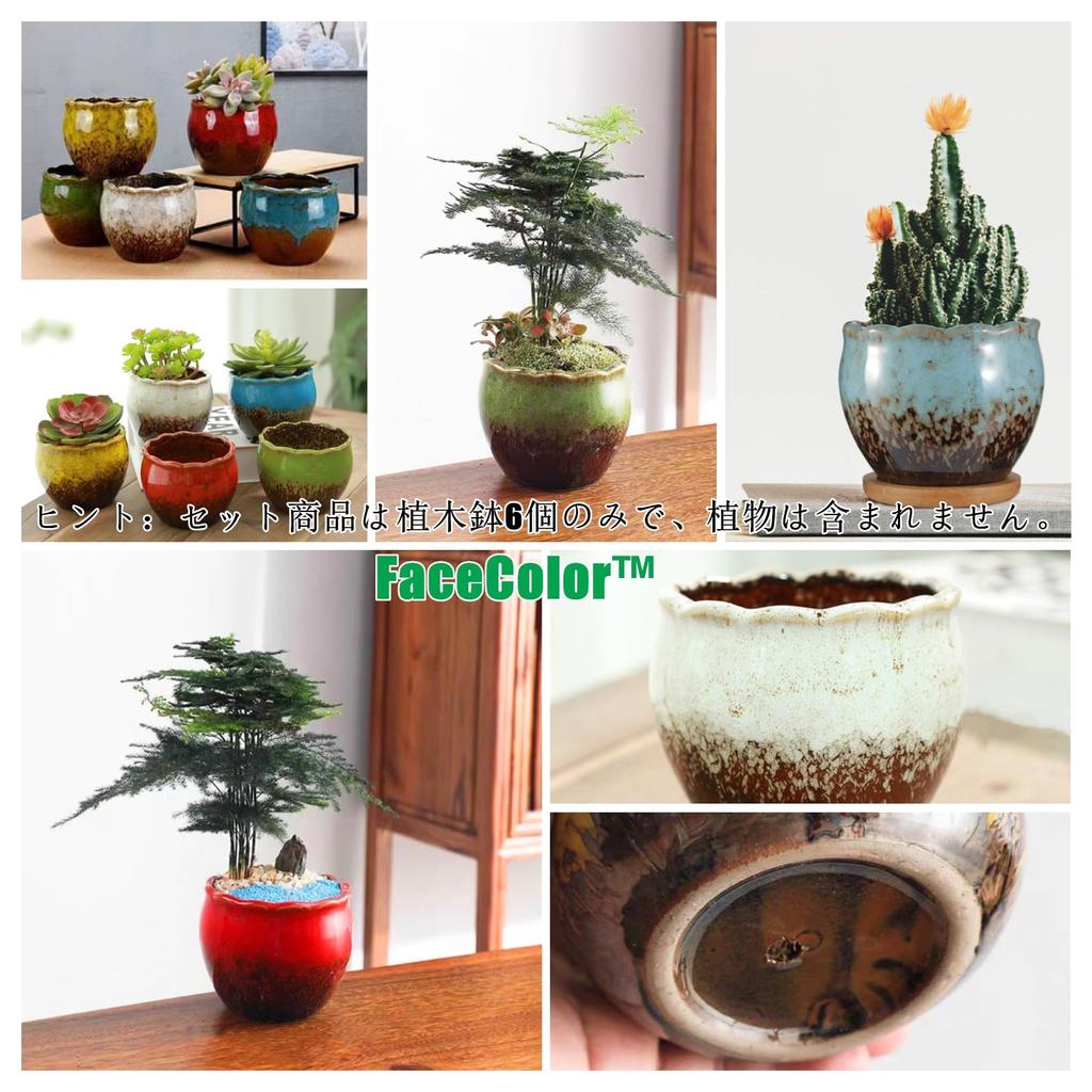 FaceColor Glazed Succulent Size Stylish Ceramic Glazed Set of 10cm Diameter x with Drainage and Bottom Net Not Pots, 3, Japanese-Style Planter,