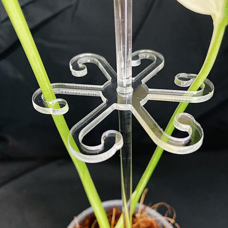 Plant Stem Hook With Stake Holder Clear Acrylic Plant Holder Hook Climbing Plant Support Clips for Orchid Rose Flowers
