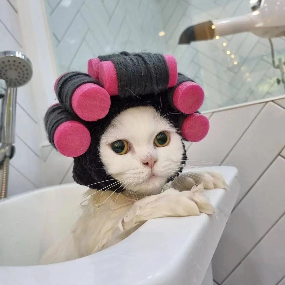 Curly Hair Curly Hair Dog Hats Soft Pet Headgear Cat Hairdressing Costume Photography