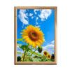 Sunflower Photo Frame: Sun-Seeking Tabletop Decor for Living Room or Office