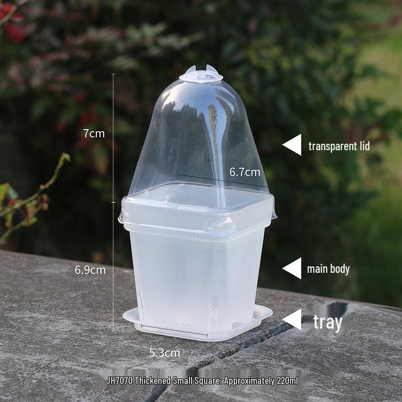 Thickened Black Square Succulent Pot - Breathable Plastic Planter for Seedlings and Lithops