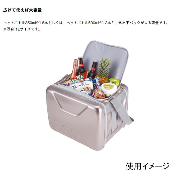 LOGOS Hyper Ice Cooler M Double Speed Freezing Ice Pack M x 2 R167N001 + (3-piece set)