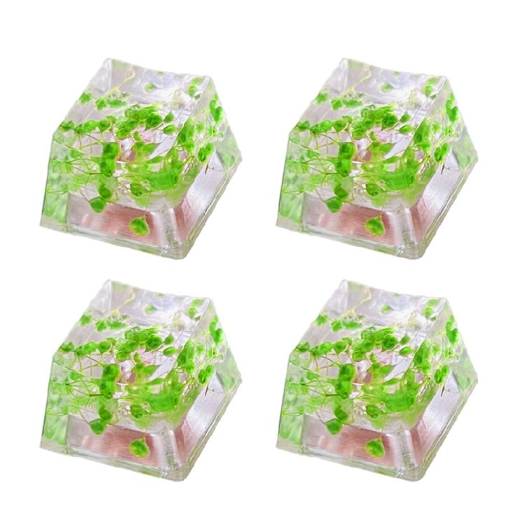 

Mechanical Keyboards Resins Keycaps OEM Profile Translucents Leaves Dry Flowers Keycaps Customized ESC Key зелёный