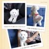 Ninian and Kino Realistic Toy Poodle Plush Toy Freely Approximately 33cm Lifelike Pet (White) - Poseable, Long,