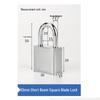 Bingyu Anti-theft Security Chain Lock