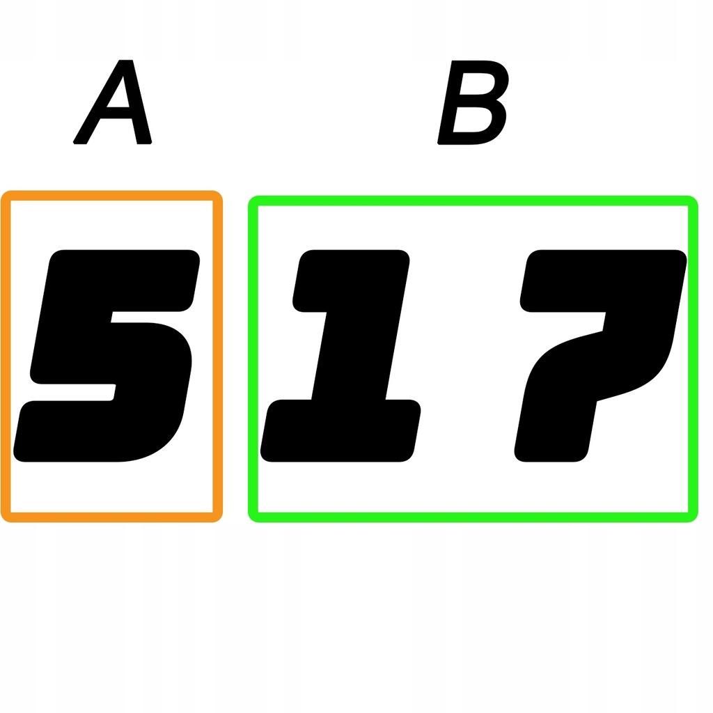 Rosfix Zestaw Lanca do Pistoletu Malarskiego 100 cm + 50 cm – Komplet Akcesoriów i Części Zamiennych | Wytrzymałość 290 Bar | Gwint 7/8