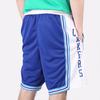 Nike Lakers Casual Basketball Shorts 2020-2021 Season Men Bottoms Blue CN1029-495