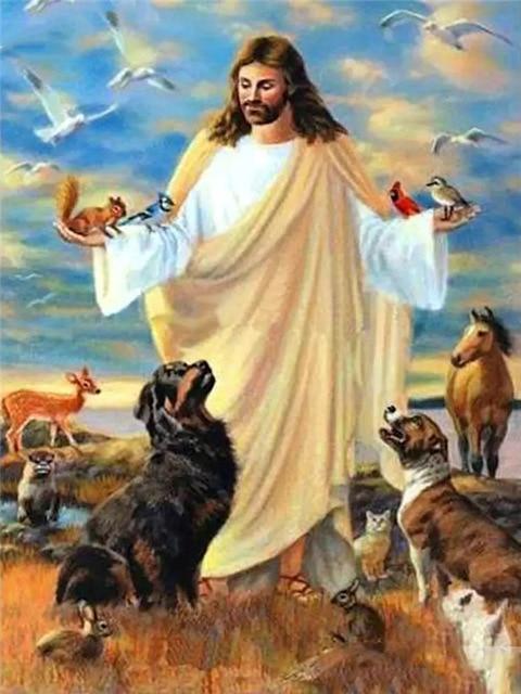 Pictură cu diamant Leu, pătrat complet, rotund, cusătură de cruce, broderie cu diamante, mozaic de animale, acut, decor pentru acasă