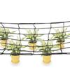 Garden Plant Net Reinforced Elastic Support For Climbing Plants Planting Tentage Net Network