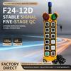 Remote Control for Overhead & Gantry Cranes F2412D