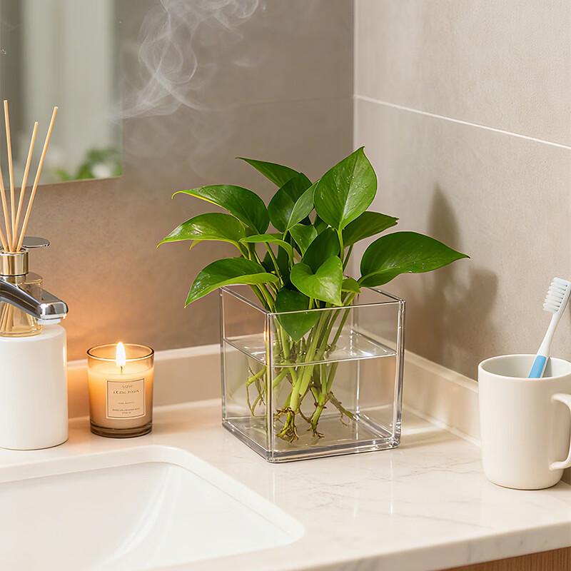 BAILOCK Transparent Square Hydroponic Vase