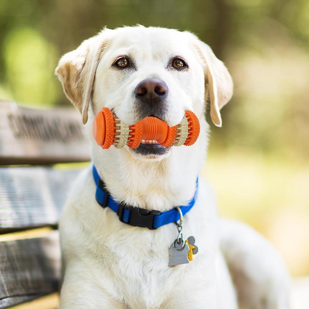 Hundespielzeug zum Kauen Zahnen Haustierspielzeug für Hunde Kauer Schalthebel Interaktiver Leckerli-Spender Haustierbedarf für Klein Mittel Groß
