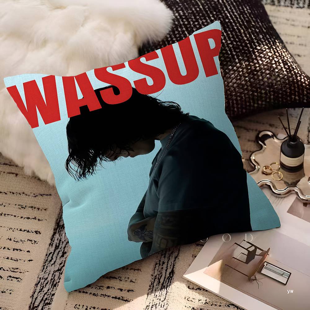 Singer YYoung Miko Cushion Cover Polyester Sofa Cushions Decorative Throw Pillows Home Decoration Pillowcover