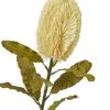 Hill Interiors Banksia Serrata Artificial Flower