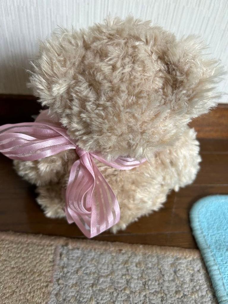 [USED] Hida Takayama Teddy Bear Eco Village Teddy Bear