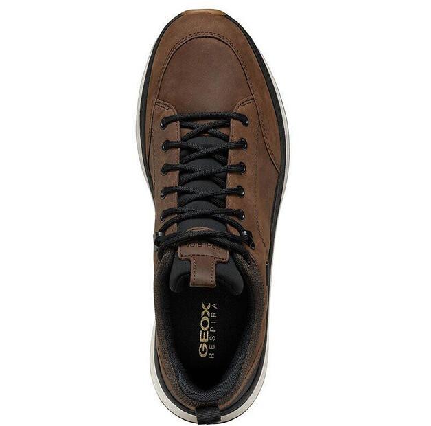 Кроссовки Geox Spherica Actif X2