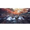 Beautiful Landscape Wall Art Painting Canvas Painting Scenery Wall Pictures Living Room Hedroom Home Decor