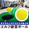 Training Golf Balls, Indoor Specification, Impact Practice, 12 Ball Set,
