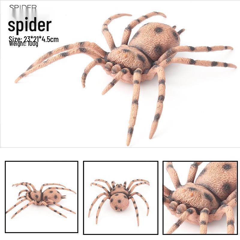 Large Insect Model Toy Set: Spider, Scorpion, Rhinoceros Beetle, Bee, Dragonfly