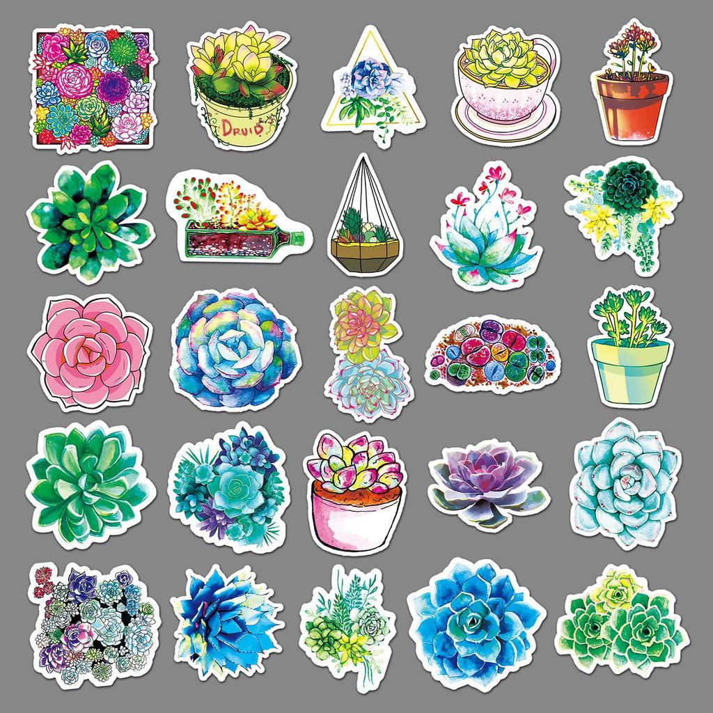 50 Pictures of DIY Personality Green Plant Succulent Cartoon Doodle Creative Laptop Suitcase Car Refrigerator Stickers
