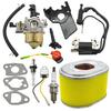 Carburetor with Tune Up Kit for Honda GX160 GX200 5.5HP 6.5HP Engine WP30X Water Pump 16100-ZH8-W61