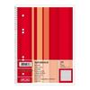 Cahier A5 - HERLITZ - 160 Feuilles - 70g/m² - Grands Carreaux - Lot De 4