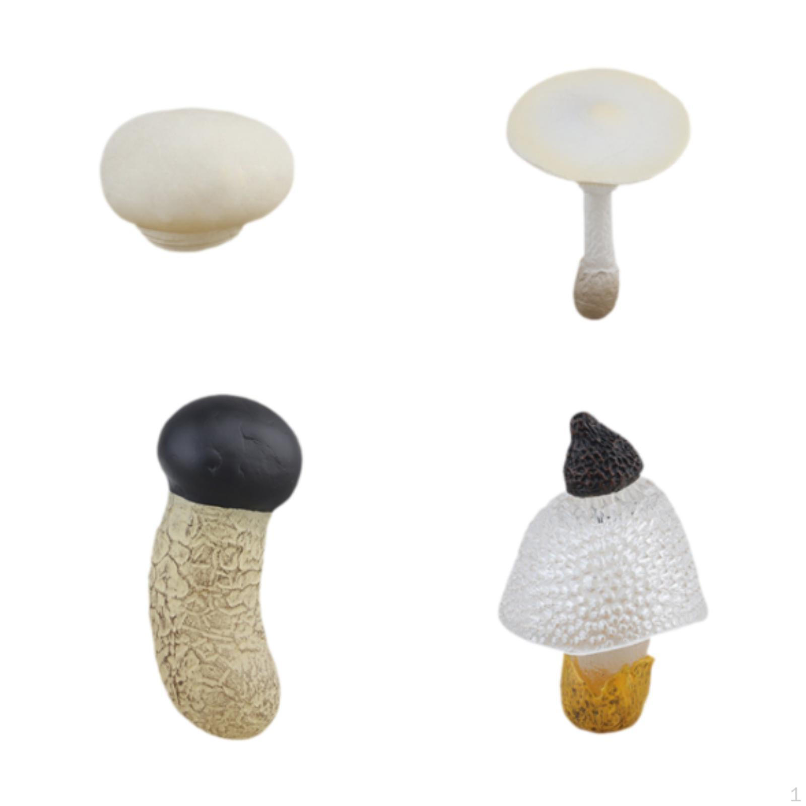 

Детский набор игрушек «Этапы развития грибов» для интерактивного обучения White Mushrooms