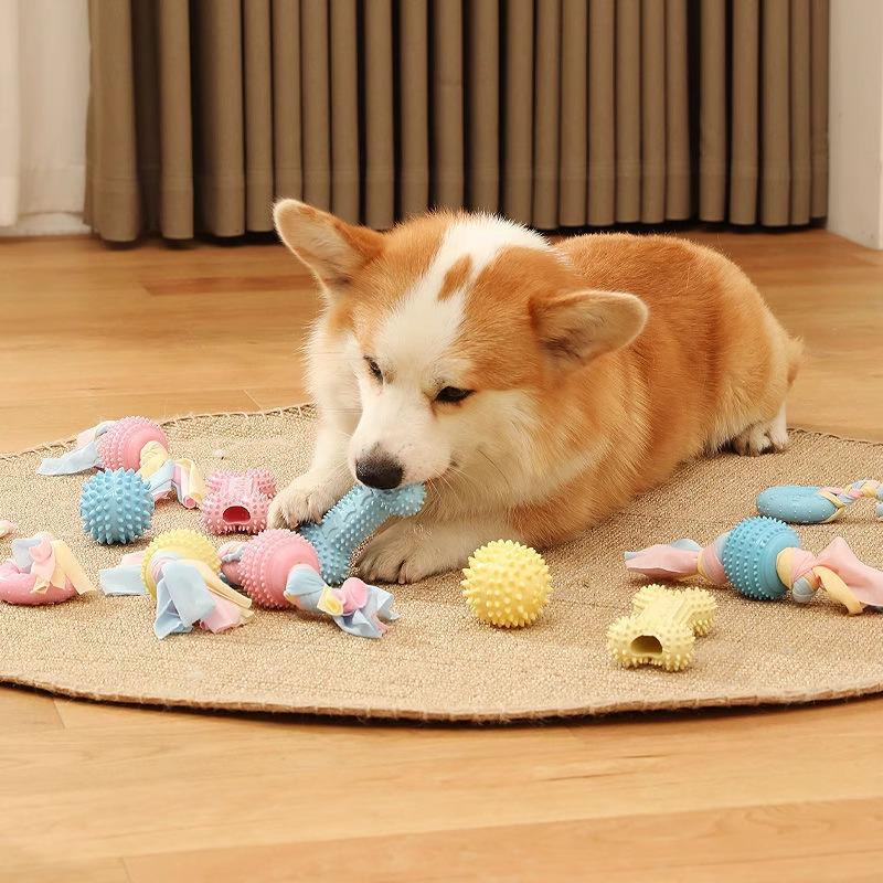 Small Dog Chew Set: Teething Stick & Bite-Resistant Rubber Ball