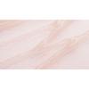 ROUND LAB Camellia Deep Collagen Firming Cream 50ml/100ml
