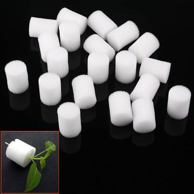 20шт Білий Clone Cloning Collar Foam Insert Hydroponic Root Guard Mesh Pot 25mm