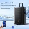 Newmine N529 15-inch Portable Trolley Bluetooth Speaker CN plug (adapter included)