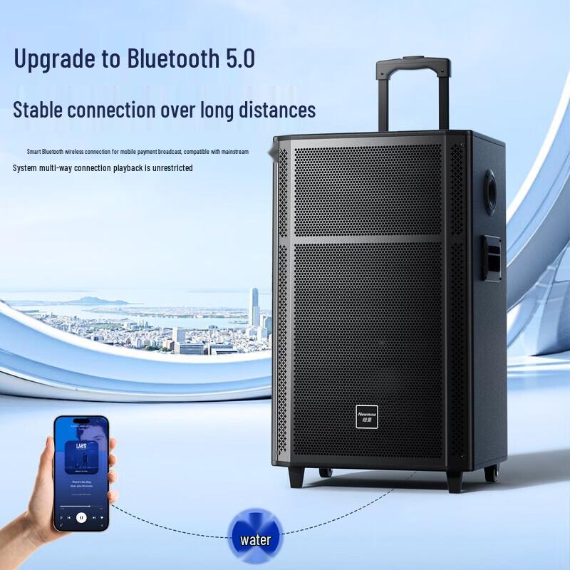 Newmine N529 15-inch Portable Trolley Bluetooth Speaker CN plug (adapter included)
