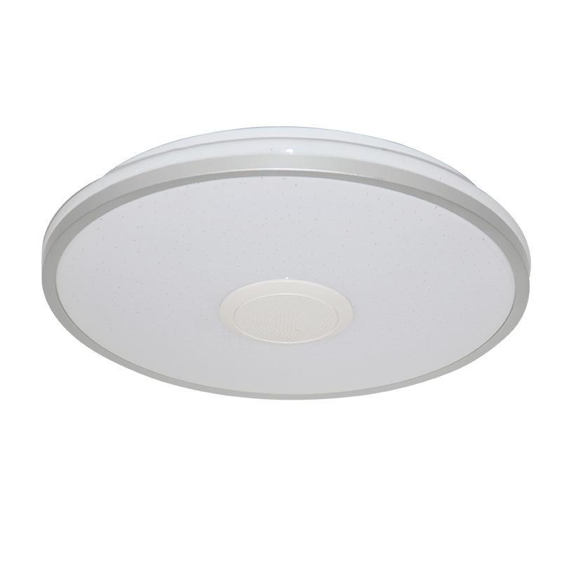 30/33CM Smart Bluetooth Music Light APP Modern Simple Framed Study Bedroom LED Ceiling Light