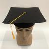 Neutral Adult Child Graduation Cap With Tassel High School