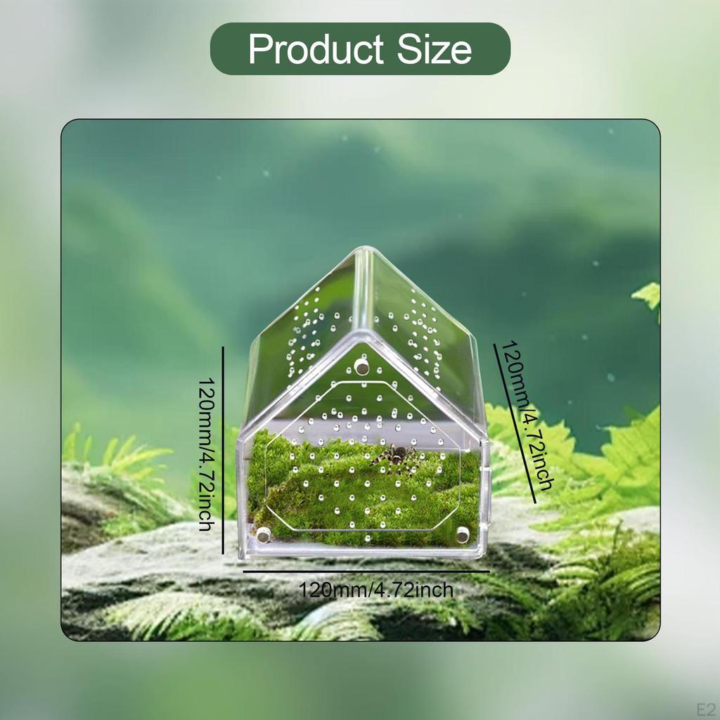 for Jumping Spiders Box Acrylic Terrarium with Ventilation Holes Panoramic Observation Suitable