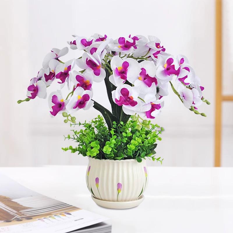Artificial Phalaenopsis Flower Set: Indoor TV Cabinet Decor