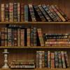 Vinyl Book Pattern Decor Contact Paper Pvc Self Adhesive Waterproof Removable Wallpaper Stickers for Bedroom Living Room Wall