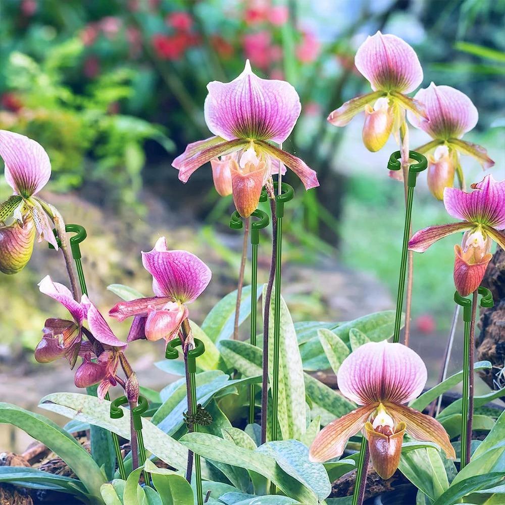 10PCS Anti Lodging Butterflies Orchid Potted Fixing Rods Flower Holder Pole  For Indoor Outdoor