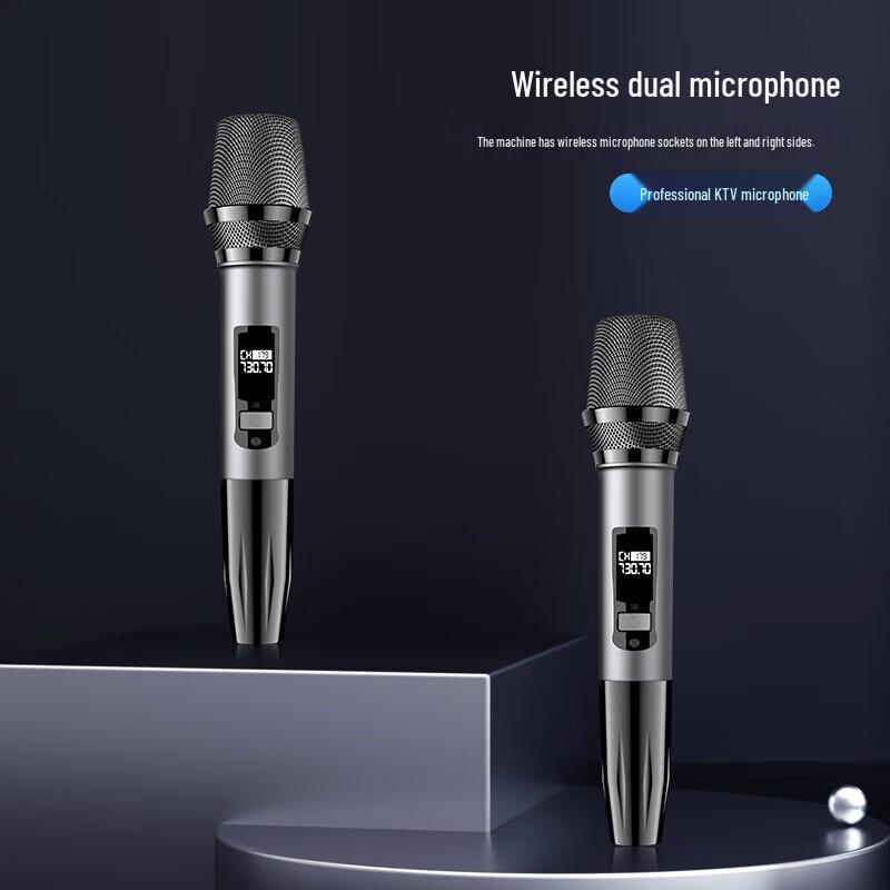 Soaiy SA-620 Home KTV Audio System with Dual Microphones