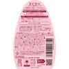 arau. (Arau) arau. Arau Foaming Body Soap, 550mL (Main Bottle)