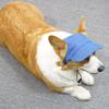 Sun Protection Dog Sun Hat with Ear Holes Pet Visor Hat Handsome Summer Cat Cap  Outdoor Sports