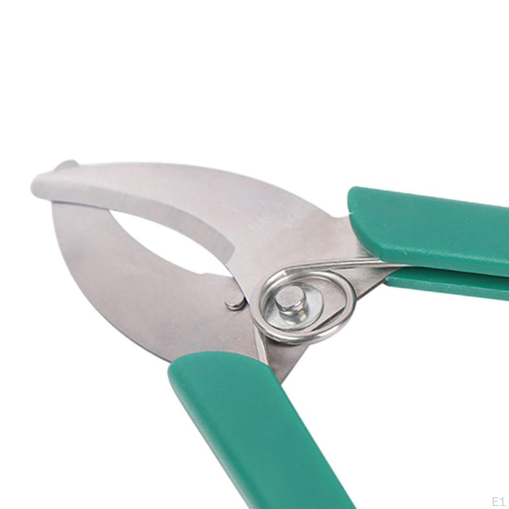 Barking Cutter Scissor for Garden Tree Branches And