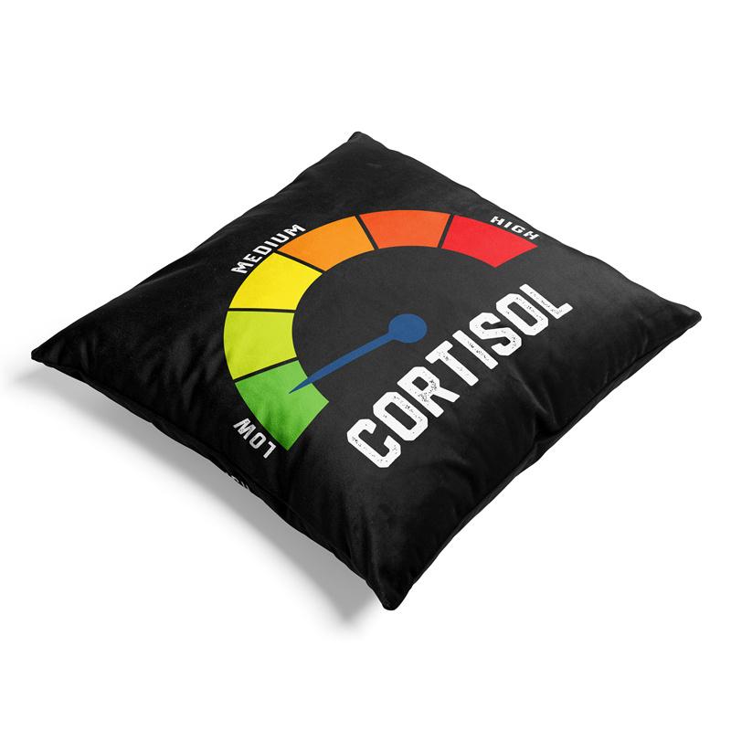 Aertemisi Low Cortisol Levels Pillow Cover Cushion Case Soft Throw Pillow Case For Better Sleep Quality