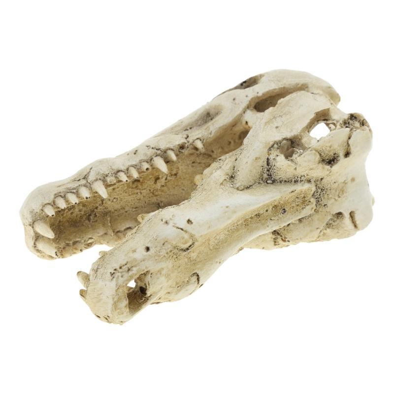 Resin Skull Aquarium Decorations for Fish for Tank Simulation Skeleton Cave Ornament Hideout for Shrimp Fish